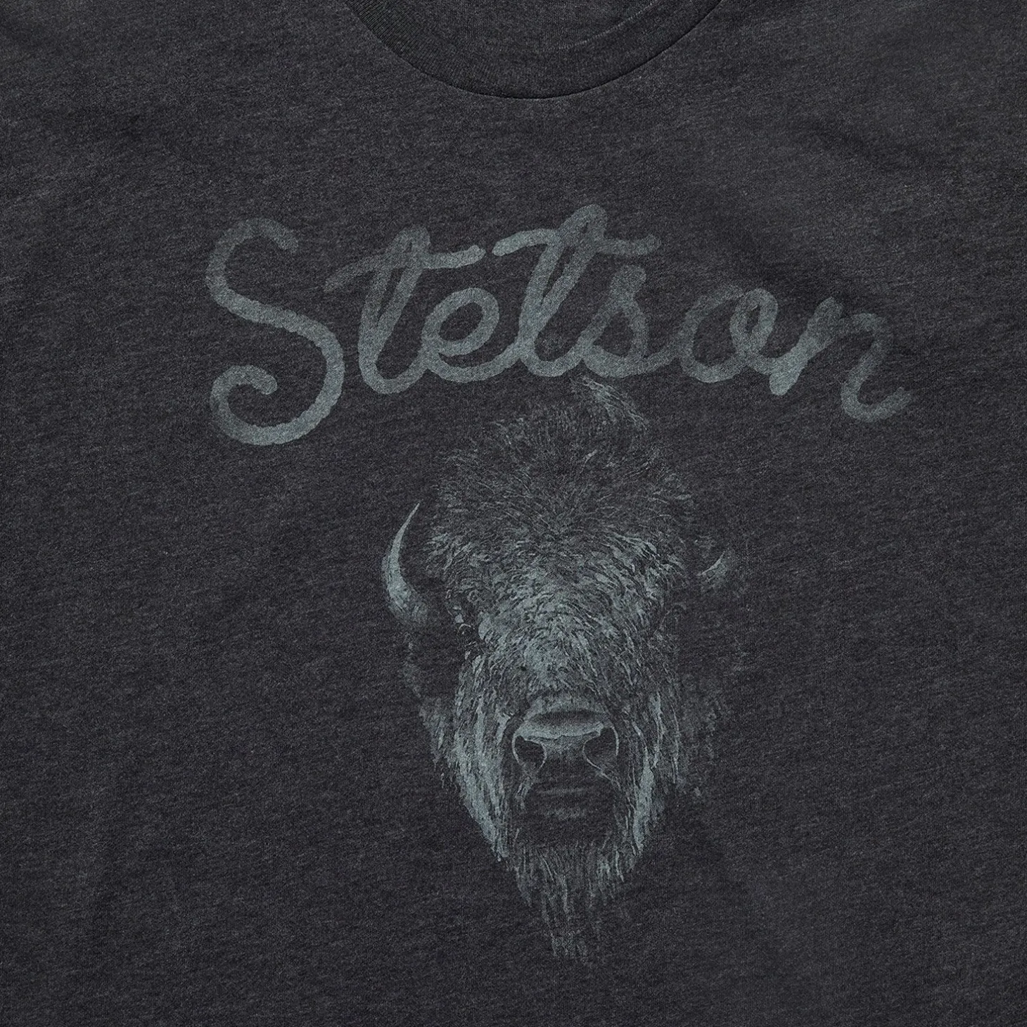 Bison Spirit Graphic Tee