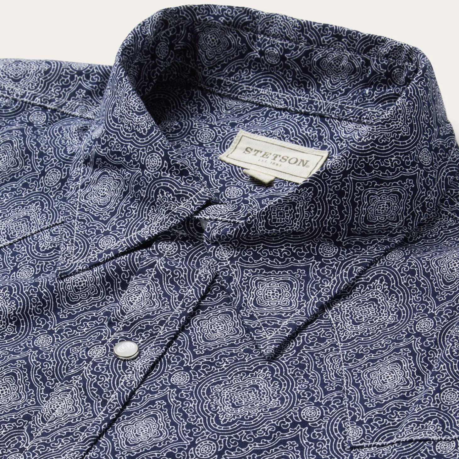 Blue Medallion Print Western Shirt