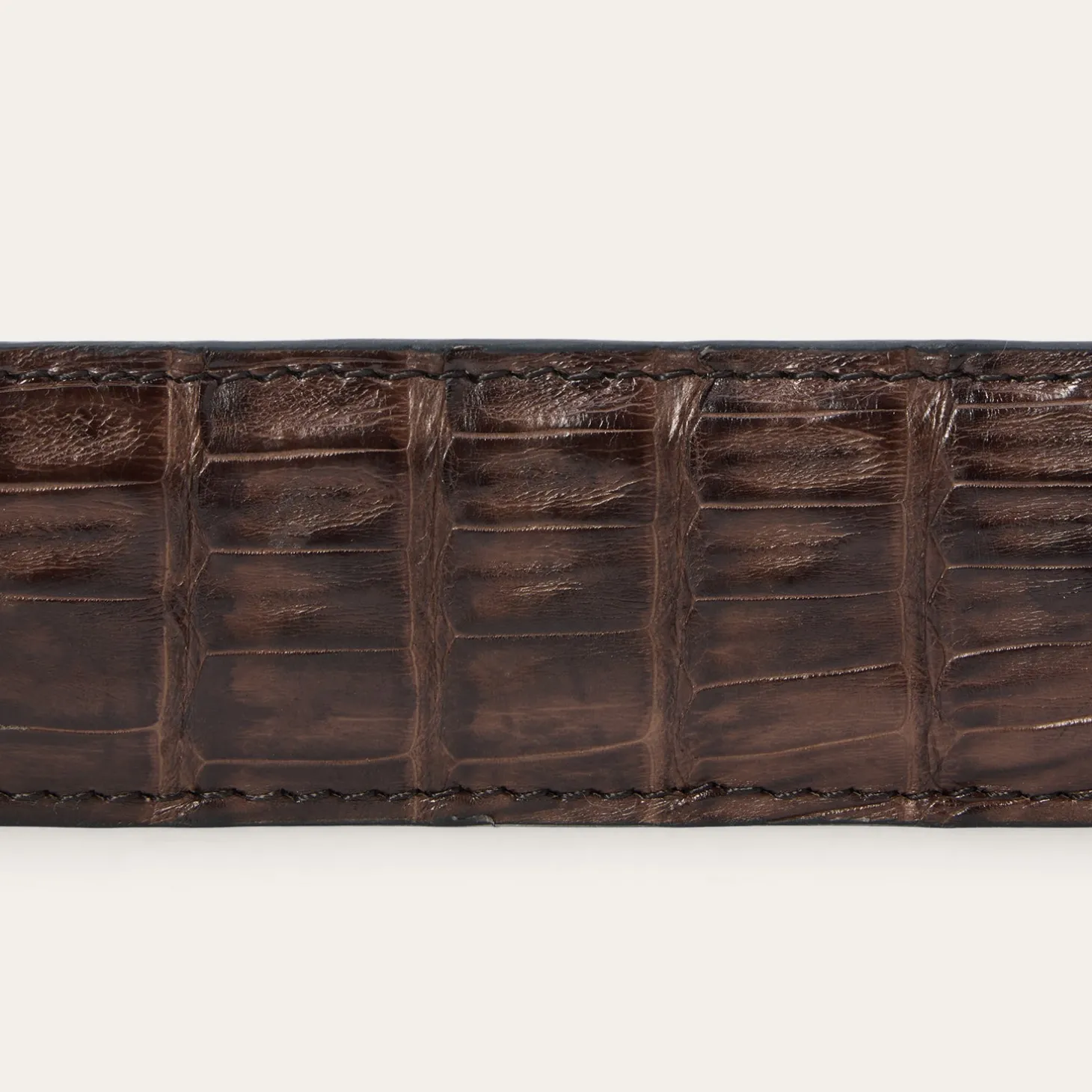 Caiman Western Tab Belt