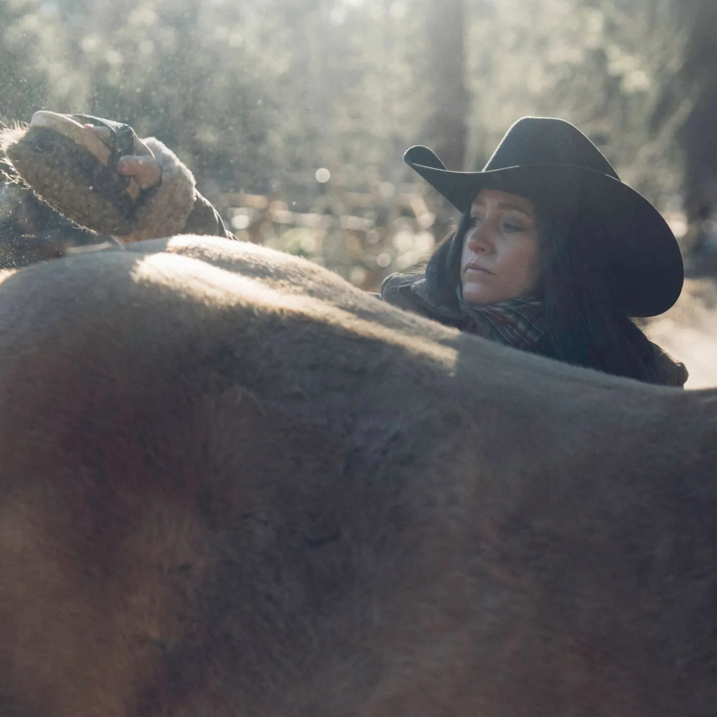 Corral 4X Cowboy Hat