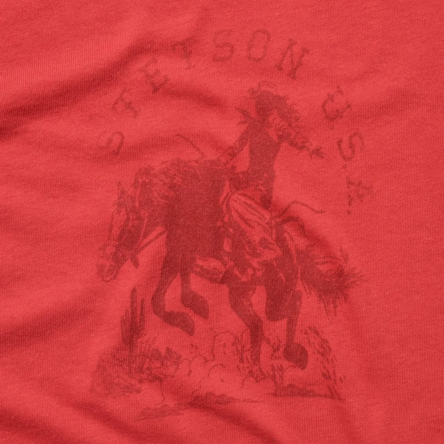 Cowgirl Graphic Tee