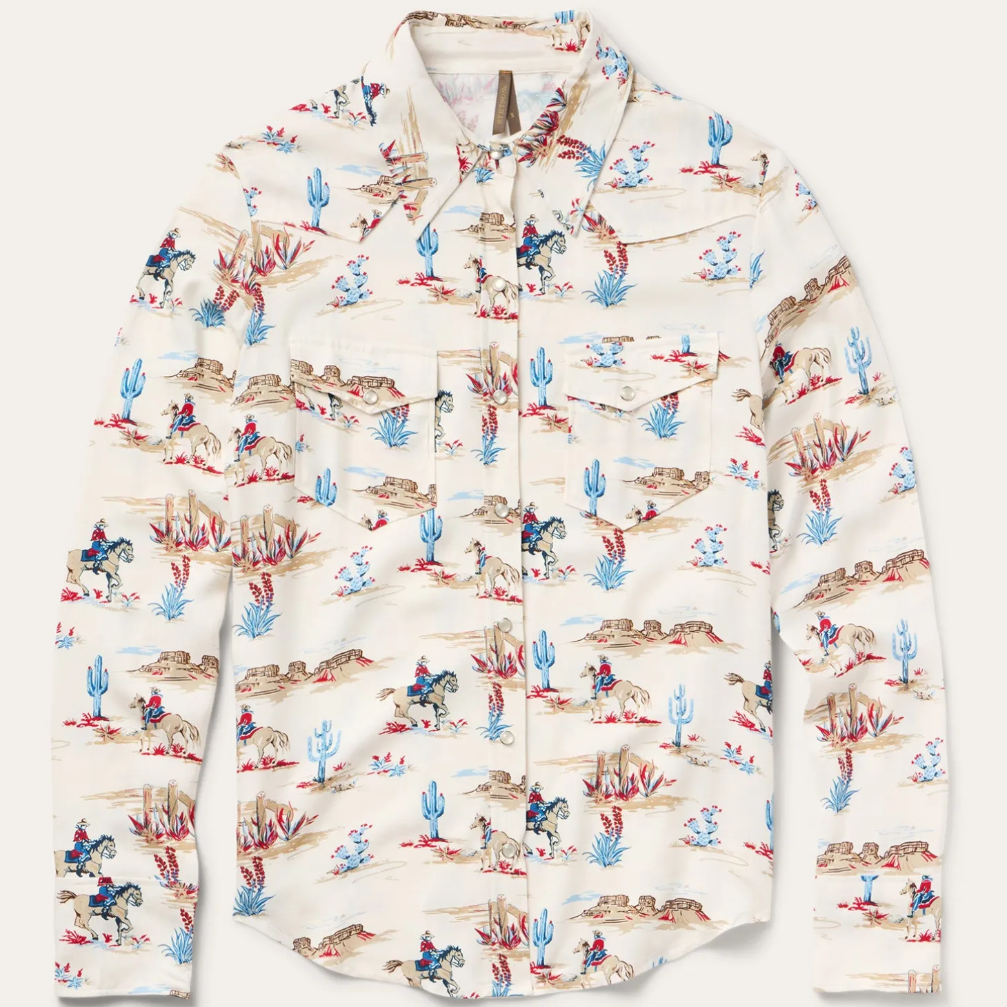 Desert Trail Print Western Shirt