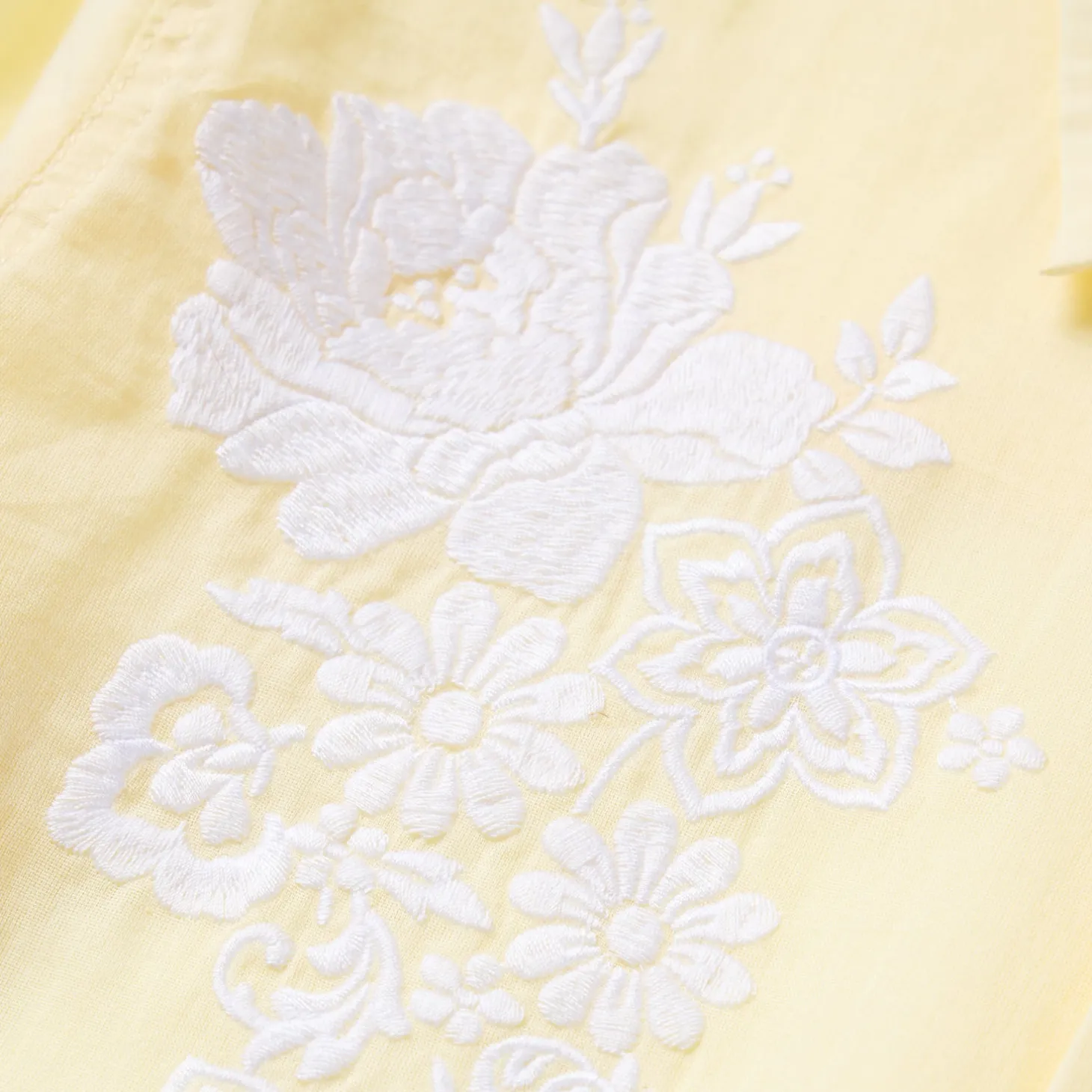 Embroidered Western Shirt