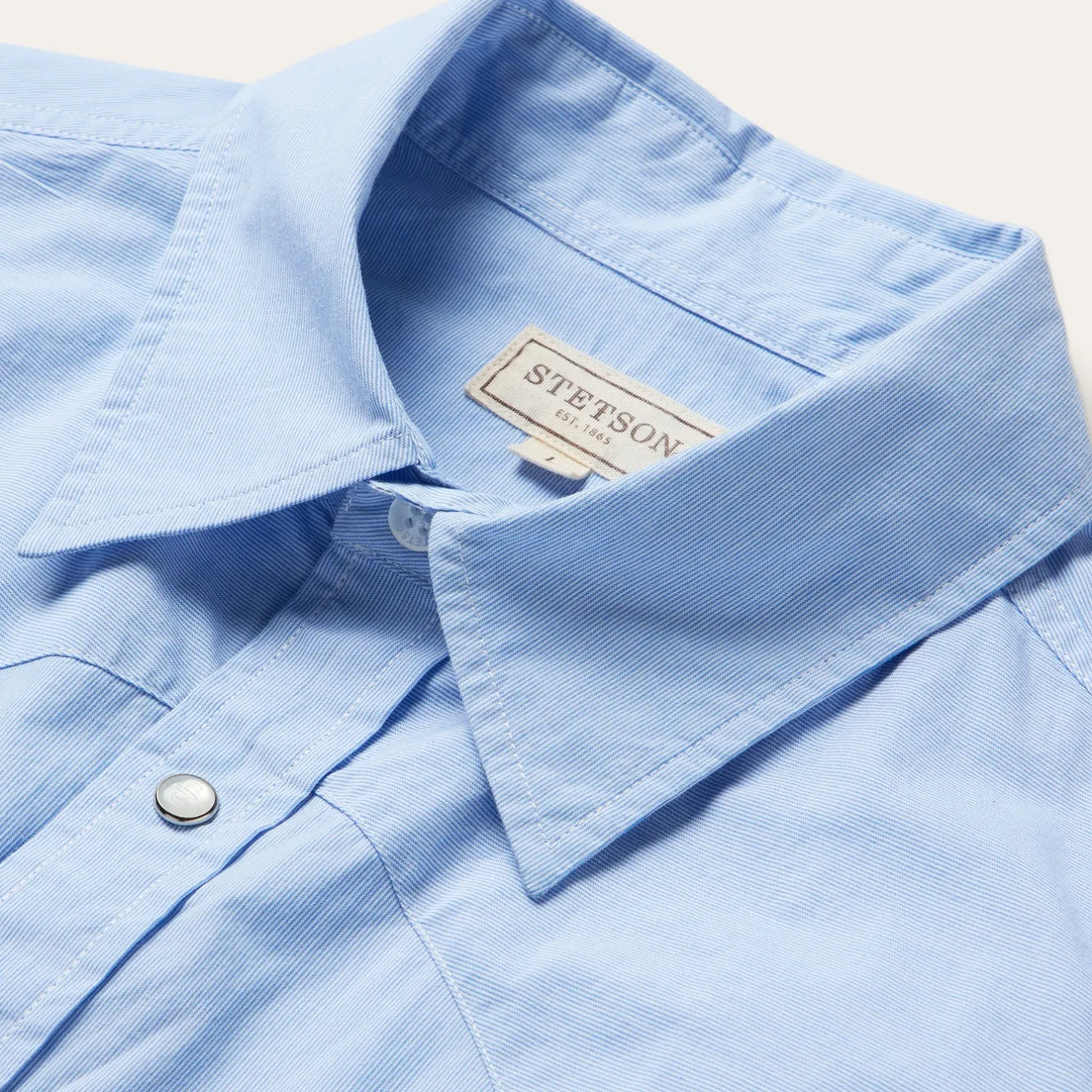 Fine Line Stripe Western Shirt