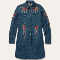 Lavish Denim Shirt Dress