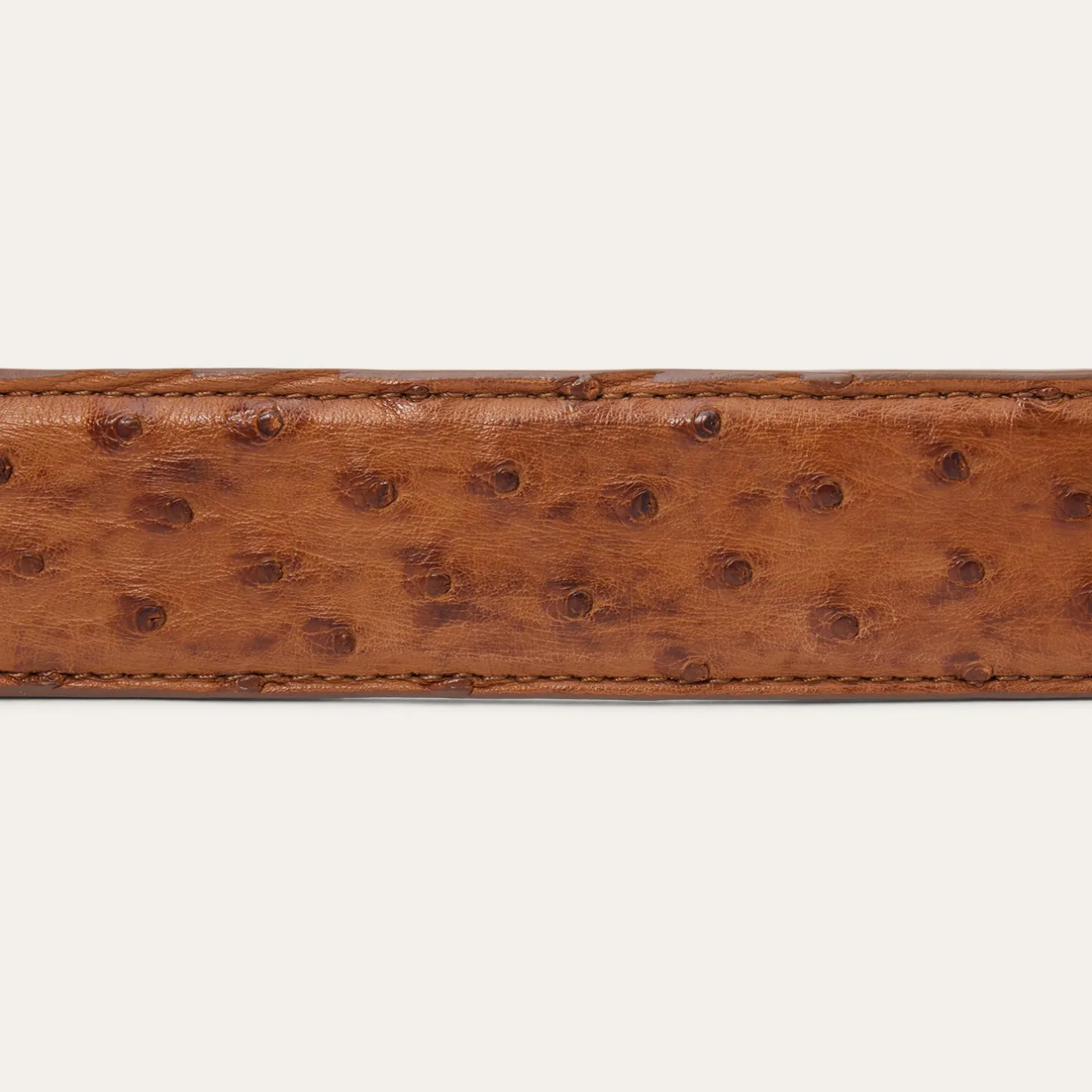Ostrich Tapered Tab Belt