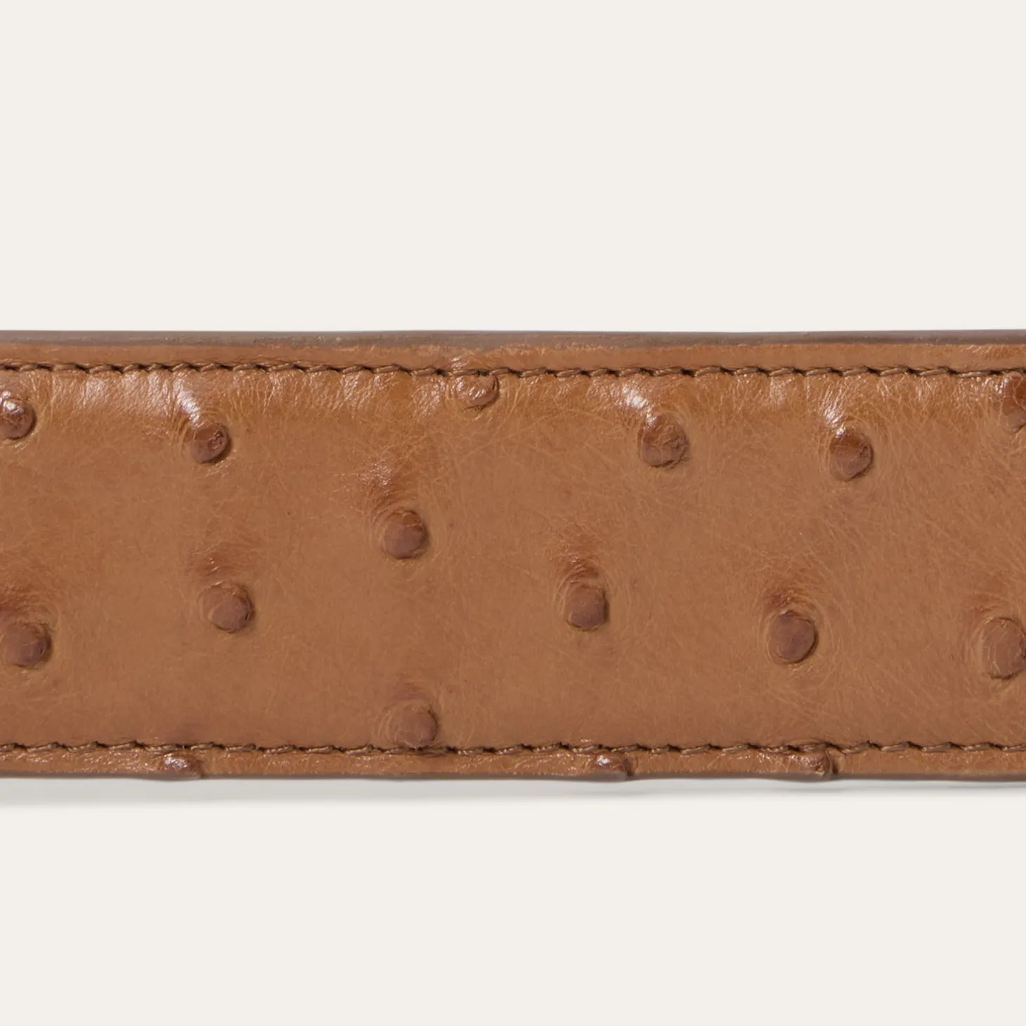 Ostrich Western Tab Belt