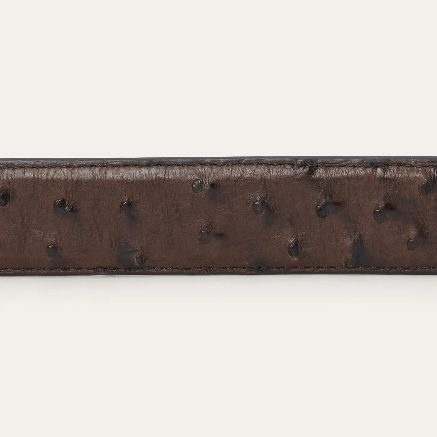 Ostrich Western Tab Belt