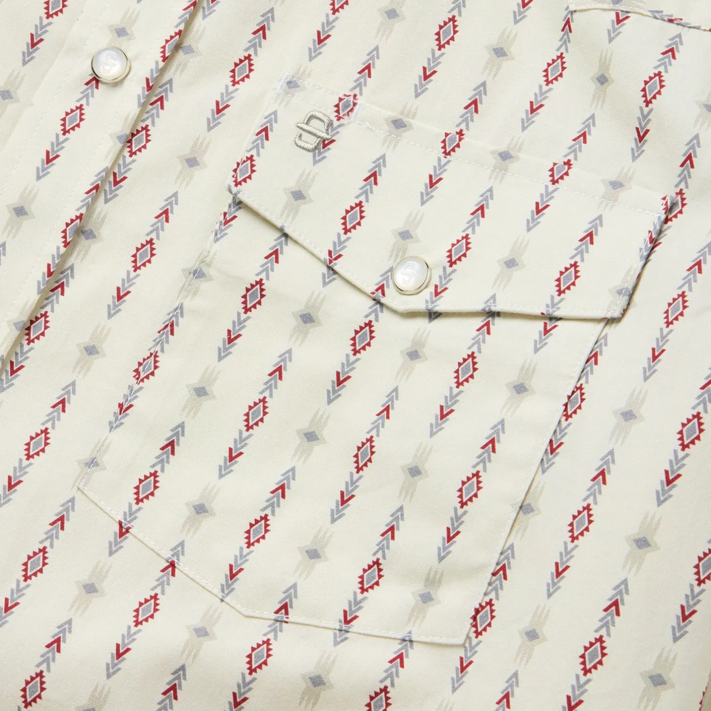 Southwest Stripe Western Shirt