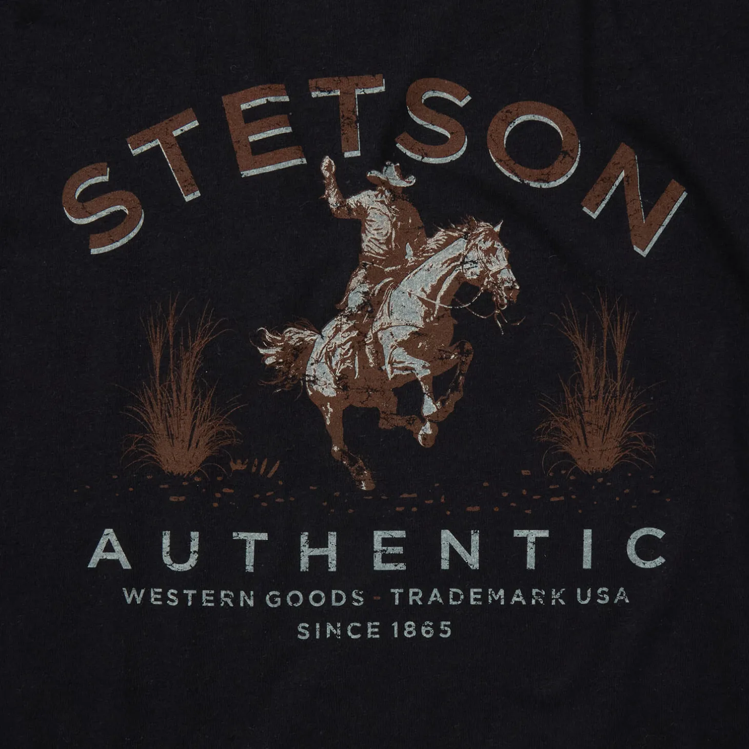 Stetson Authentic Graphic Tee