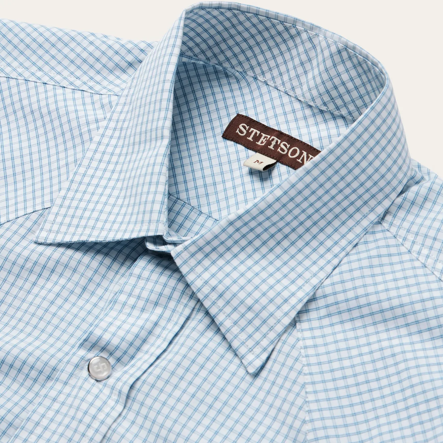 Two Stripe Check Western Shirt