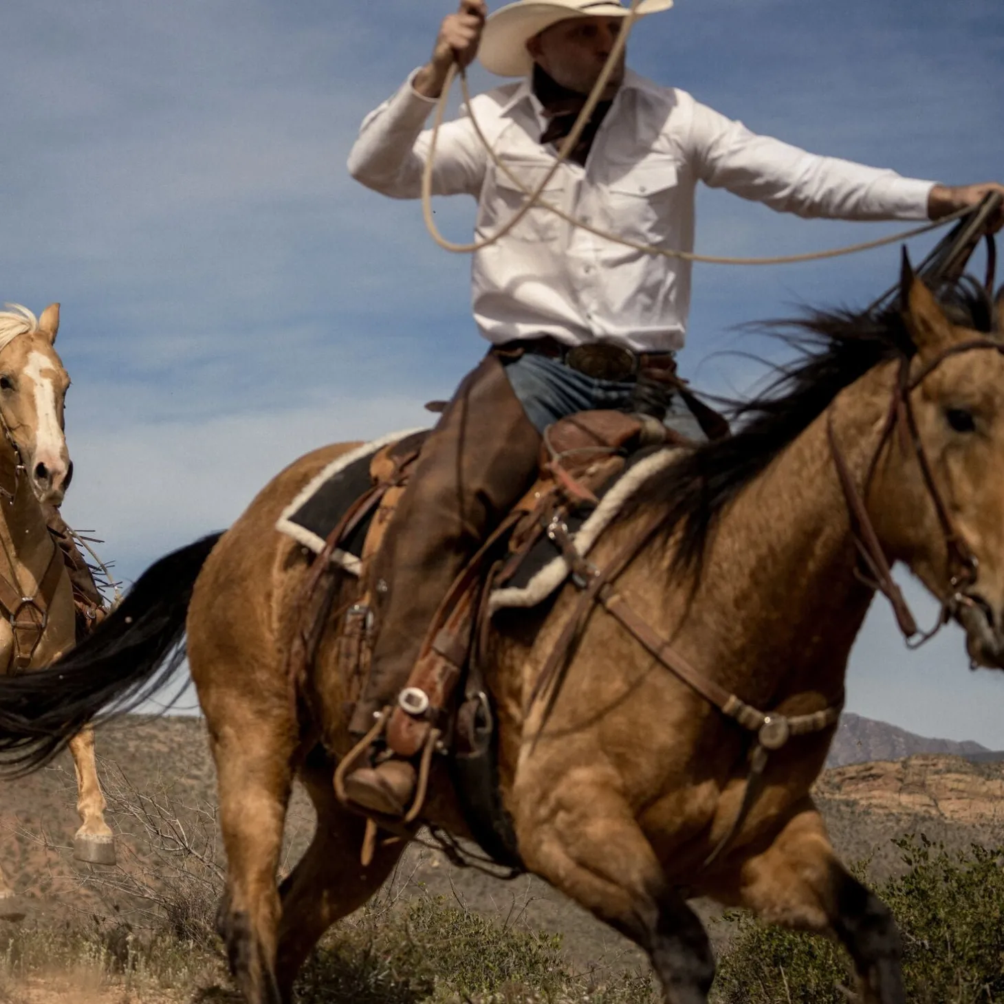 White Oxford Western Shirt